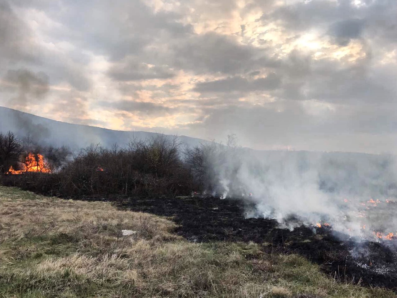 ИЗВЪНРЕДНО: Голям пожар вилнее край Чепърлянци