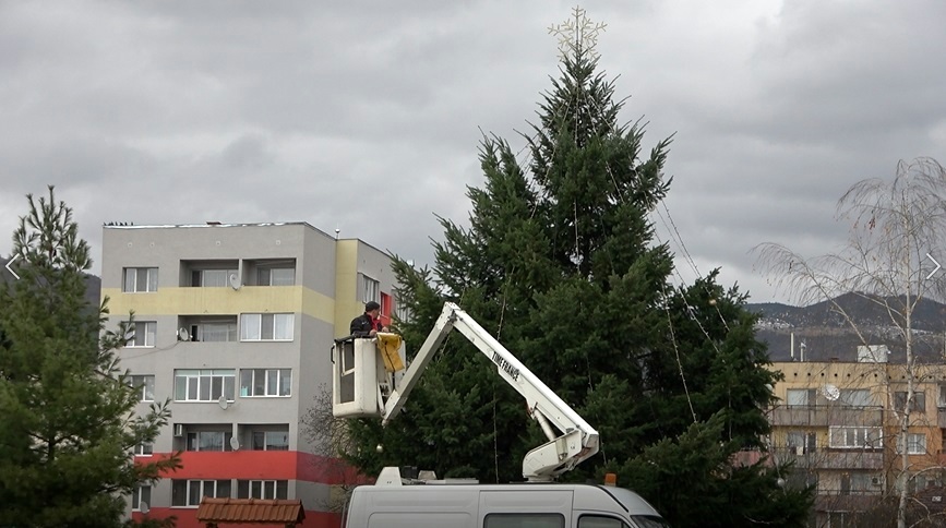 Живо коледно дърво грейва и тази година в центъра на Годеч