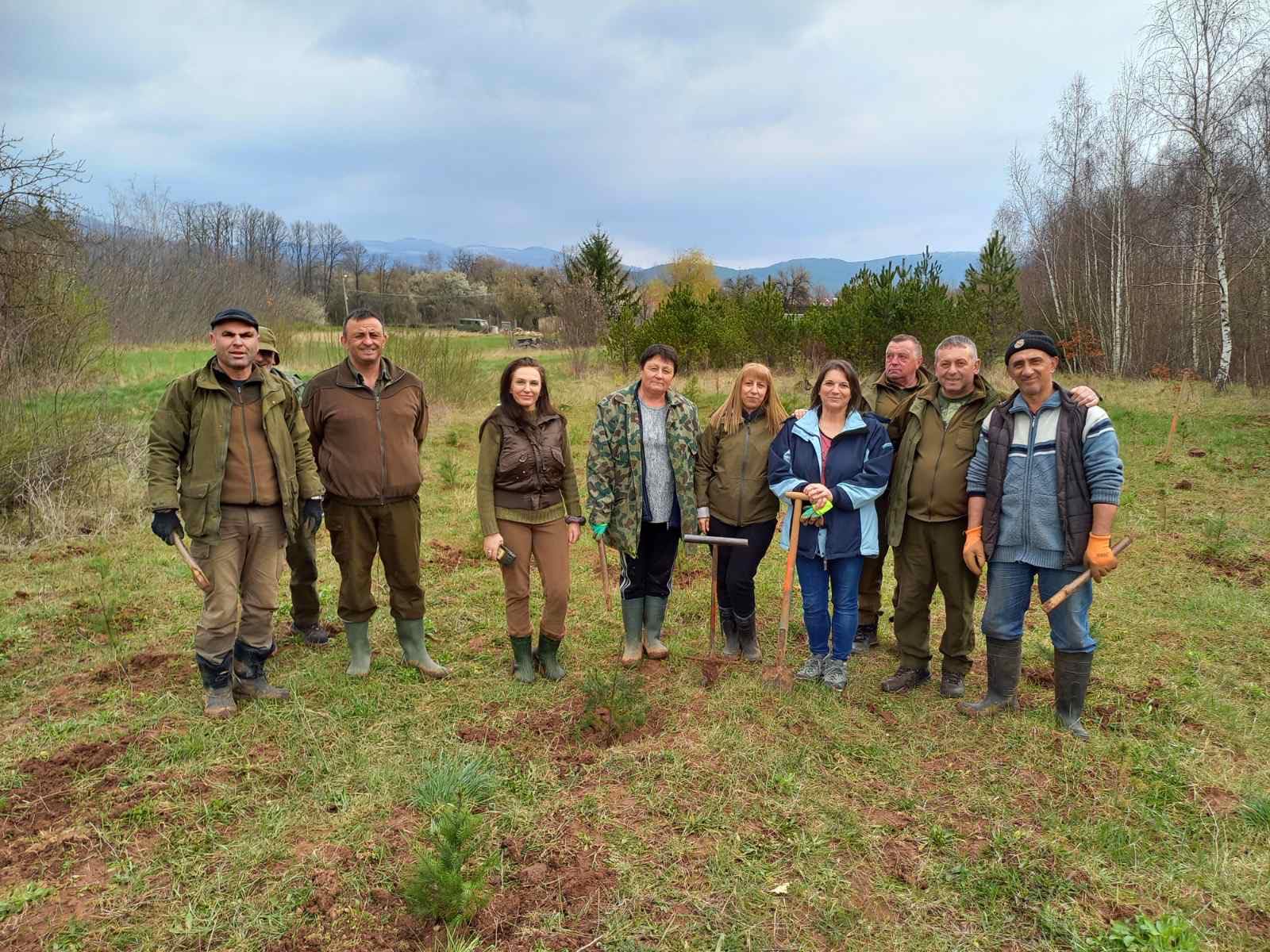 Горските в Годеч залесиха 51 дка с 22 хил. фиданки (СНИМКИ)